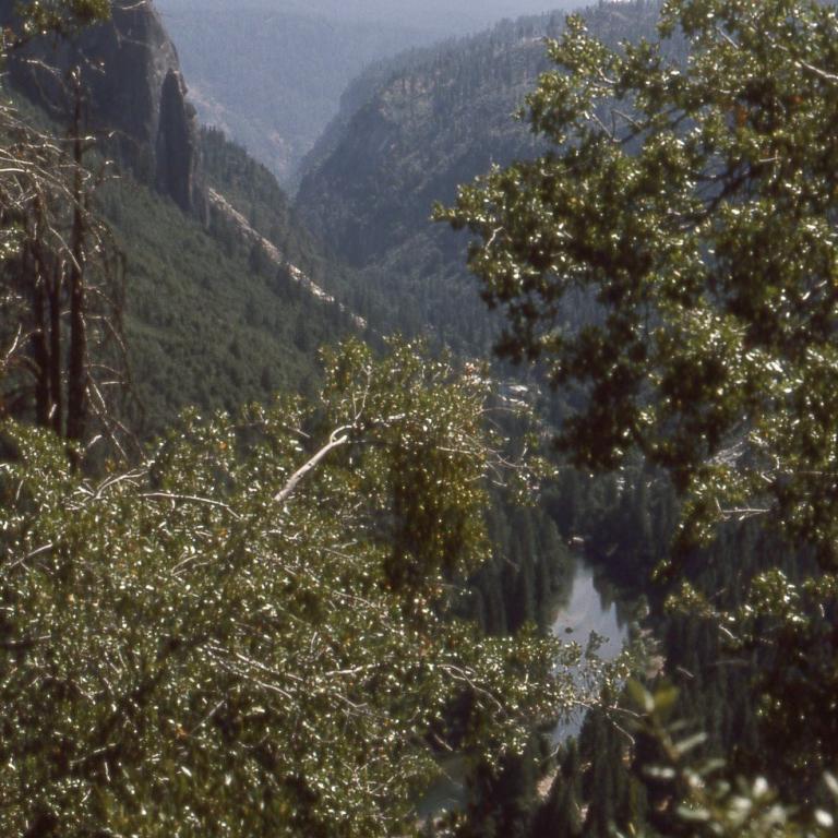 Panoramablick auf ein tiefes, bewaldetes Tal, durch das ein Fluss fließt und umgeben von Bergketten.