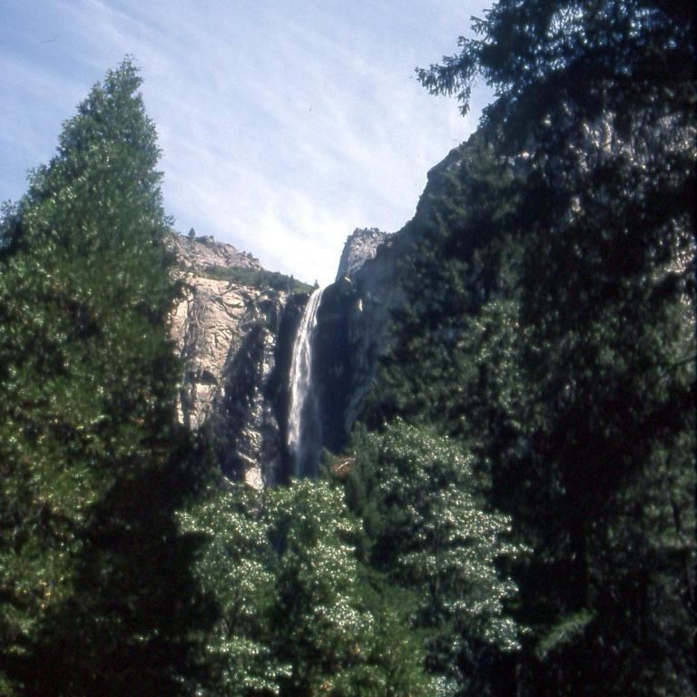 Ein Wasserfall stürzt über eine Felswand inmitten üppiger Bäume.