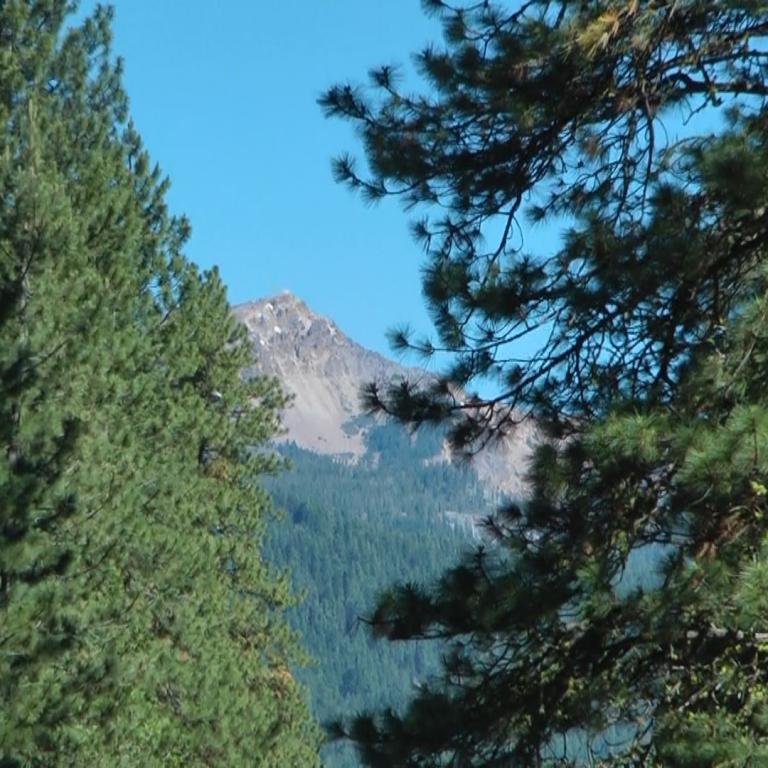 Panoramablick auf einen Berg über einem Wald, gerahmt von dichten Nadelbäumen.