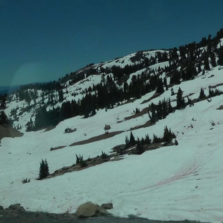 Schneebedeckter Berghang mit dichten Nadelwäldern und klarem blauem Himmel