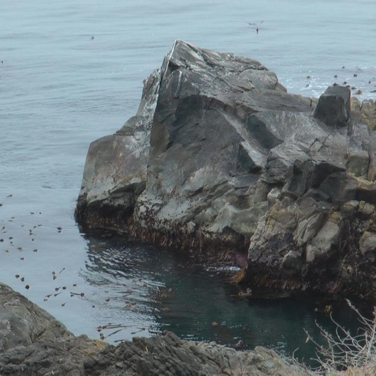 Felsformationen im ruhigen Meer an einer felsigen Küste.