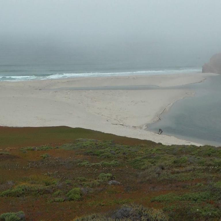 Strandlandschaft an einem nebligen Tag mit Küstenvegetation im Vordergrund und einer fernen Landmasse im Hintergrund.