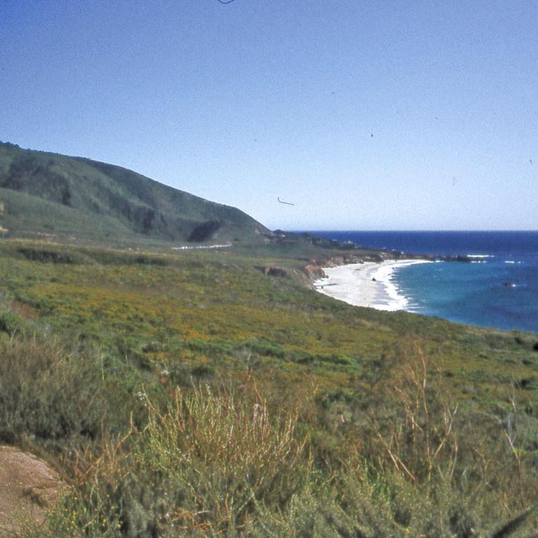 Küstenpanorama mit grünen Hängen, einem kleinen Strandabschnitt und dem tiefblauen Meer unter blauem Himmel.