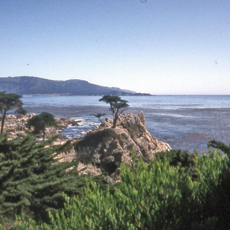 Eine Küstenlandschaft mit felsigem Ufer, üppiger grüner Vegetation im Vordergrund und einem weiten Meer unter fernen Bergen.