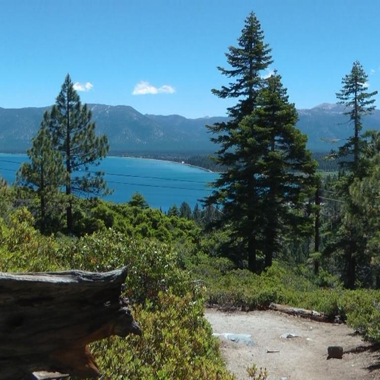Panoramablick auf einen blauen See und die dahinterliegende Bergkette durch einen Wald