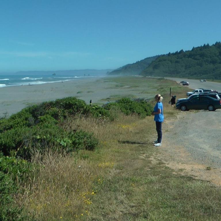 Eine weite Küstenlandschaft mit breitem Sandstrand, blauem Ozean und einem dicht bewaldeten Hügel im Hintergrund.