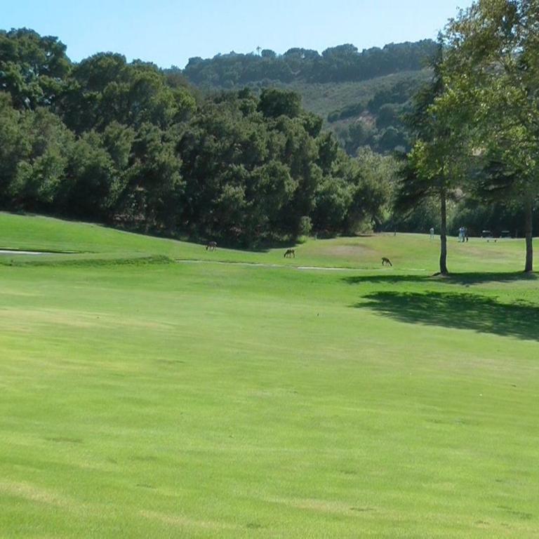Panoramablick auf einen grünen Golfplatz mit umliegenden Bäumen