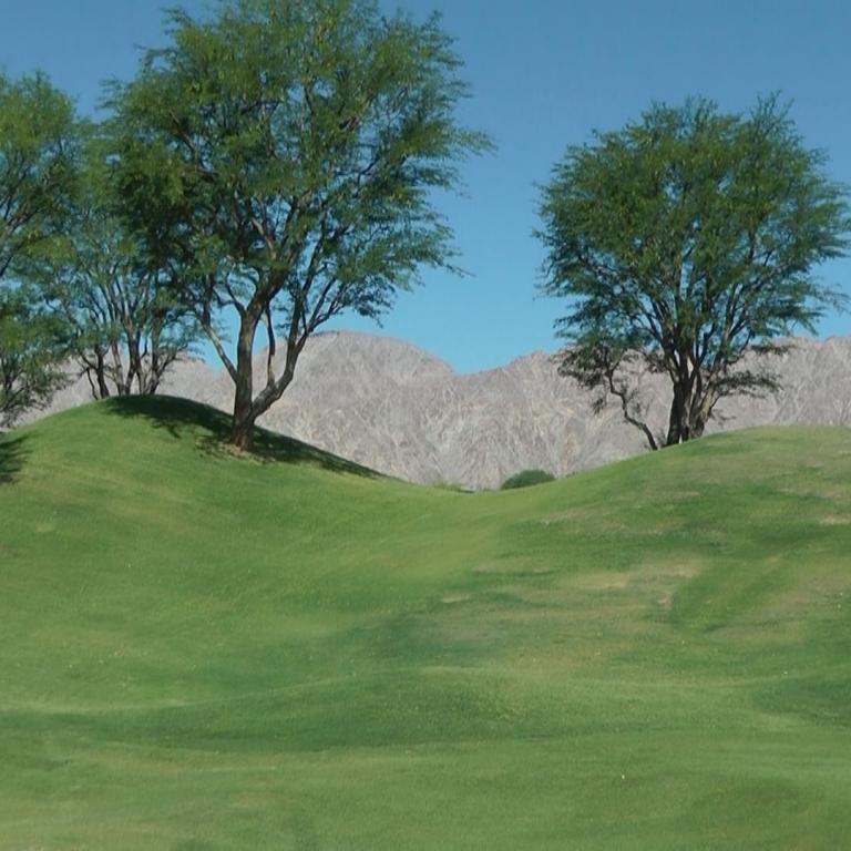 Ein grüner Golfplatz mit Bäumen und einem markanten Hintergrund von Bergen.