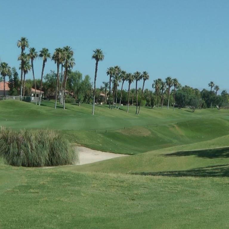 Ein weitläufiger Golfplatz mit grünen Rasenflächen, Palmenreihen und klarem Himmel.
