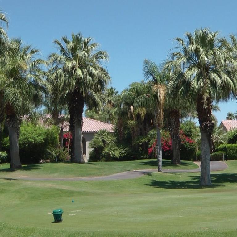 Ein weitläufiger Golfplatz mit vielen Palmen und einem klaren blauen Himmel.