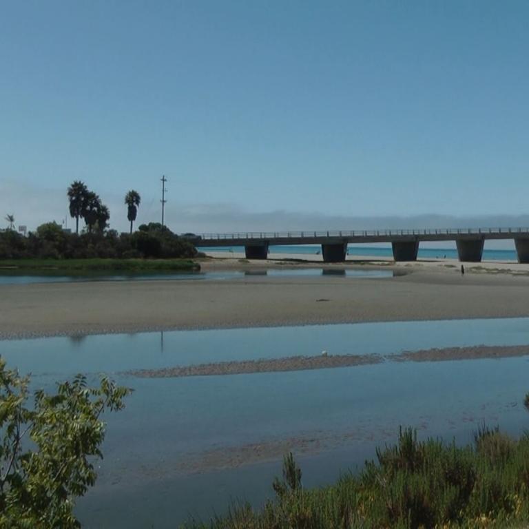 Eine Brücke überspannt ein breites Ästuar oder einen Flussmund unter einem klaren blauen Himmel. Im Vordergrund sind ruhig fließendes Wasser und üppig