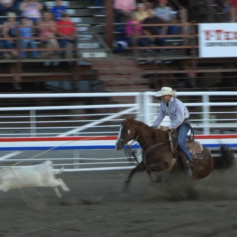 Ein Cowboy reitet ein Pferd und wird von einem weißen Hund in einem Rodeospektakel begleitet.
