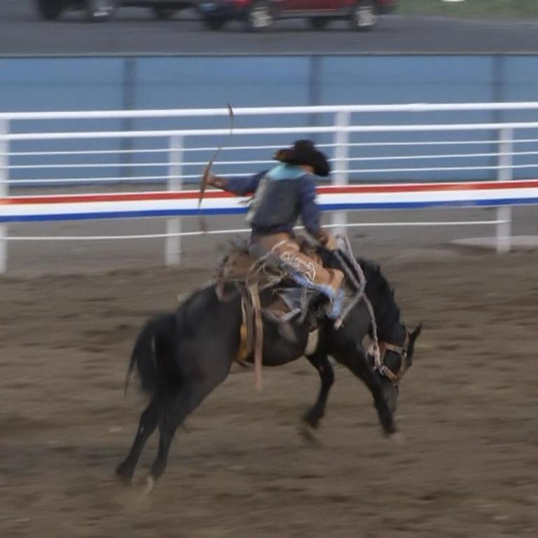 Ein Reiter auf einem dunklen Pferd galoppiert in einer Rodeostrecke.