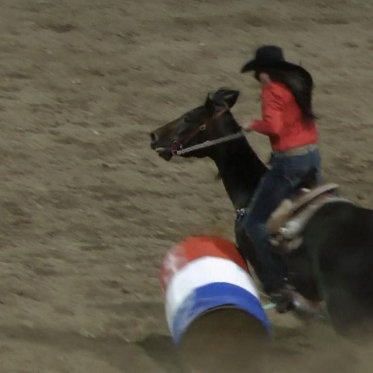 Ein Reiter sitzt auf einem Pferd und bewegt sich in einer staubigen Arena.