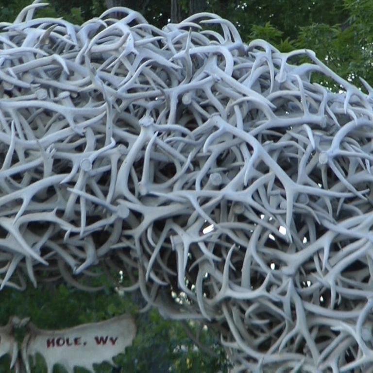 Große, skulpturale Installation aus weißen, knochenartigen Verzweigungen inmitten grüner Bäume.