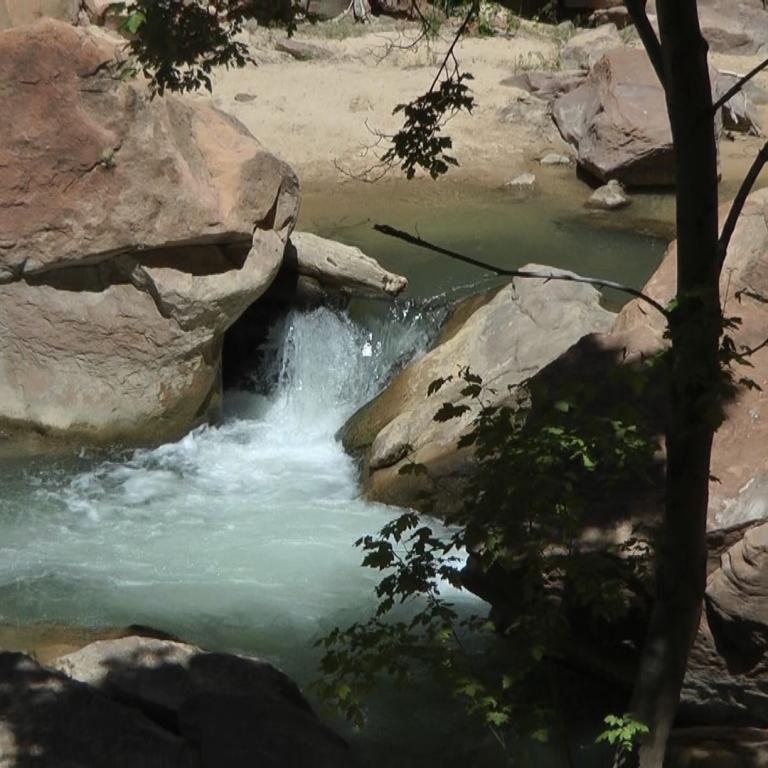 Ein Fluss fließt um große, abgerundete Felsblöcke, die von Bäumen und Vegetation umgeben sind.
