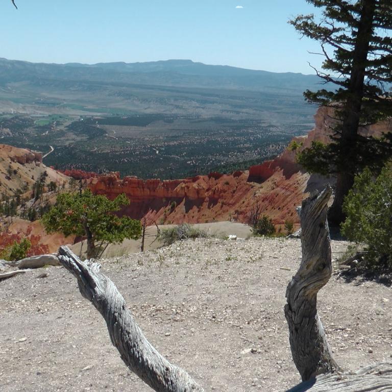 Panoramablick auf ein Canyongebiet mit markanten roten Felsformationen und Bäumen im Vordergrund.