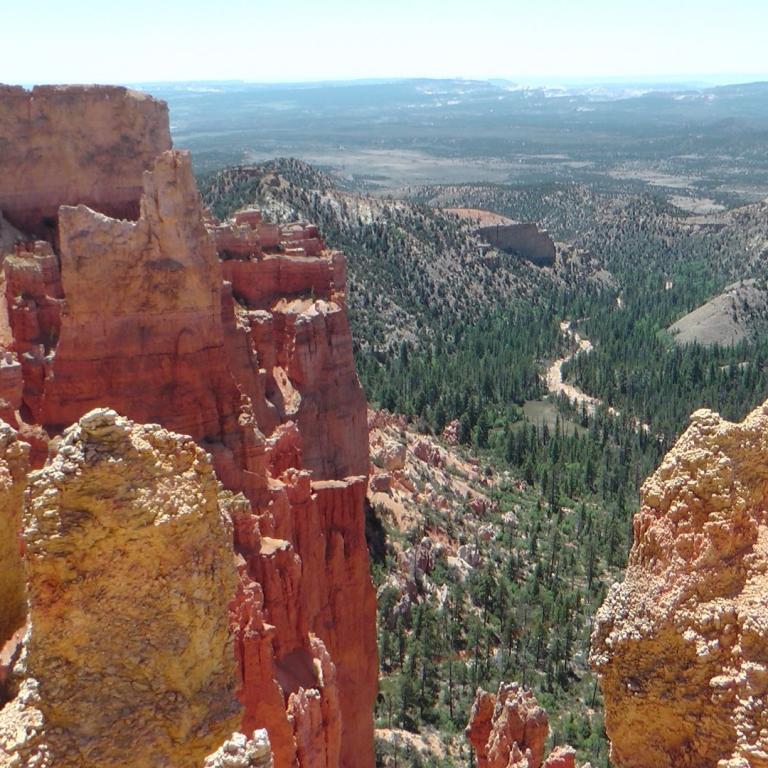 Panoramaaussicht über einen Canyon mit steilen Felswänden und einem bewaldeten Tal im Hintergrund.