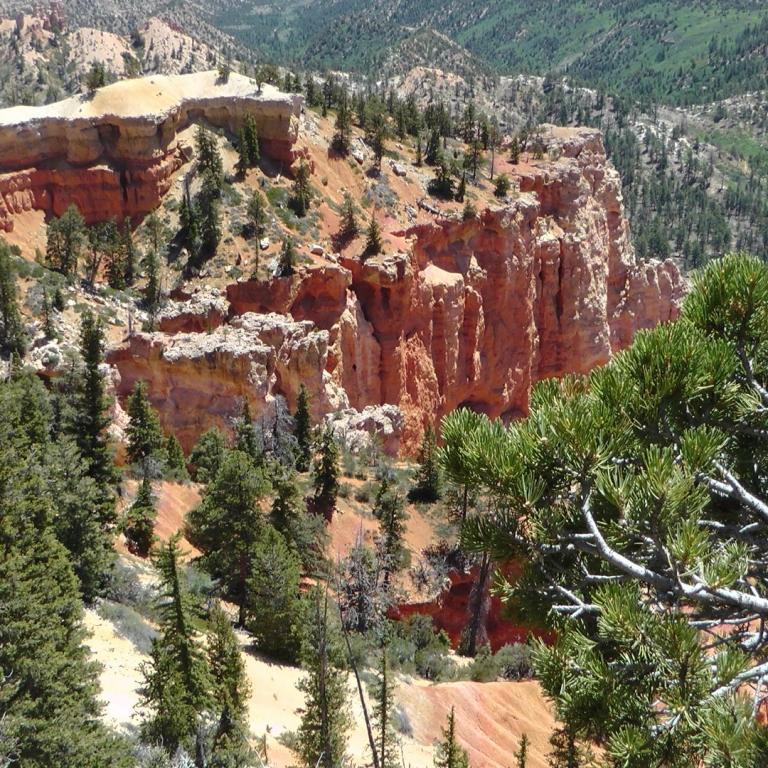 Ein Blick auf eine Canyonlandschaft mit steilen, roten Klippen, die von dichtem Wald umgeben sind.
