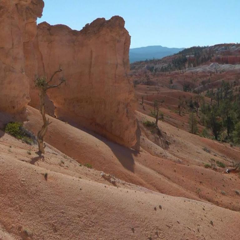 Hohe, orangefarbene Klippen säumen einen tiefen Canyon, der in ein Tal mit Bäumen und rötlichem Untergrund abfällt.