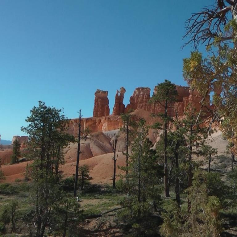 Eine Landschaft mit roten Sandsteinfelsformationen und Bäumen unter blauem Himmel.
