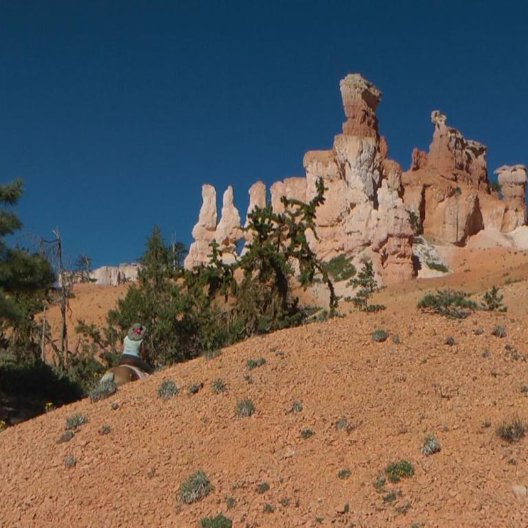 Ein Reiter führt ein Pferd durch eine trockene Wüstenlandschaft mit beeindruckenden roten Felsformationen im Hintergrund.