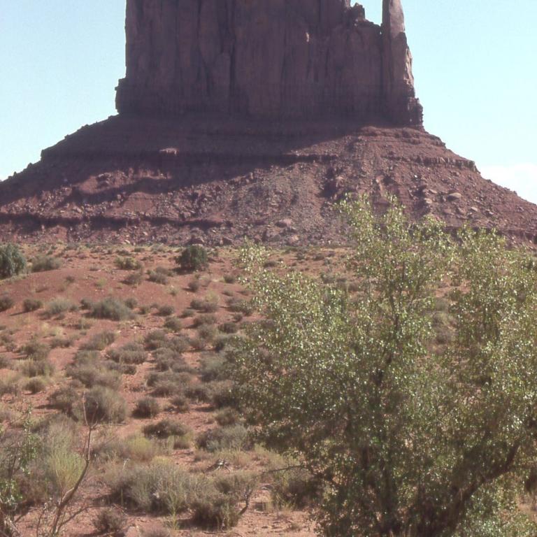 Eine große, dunkle Felsformation ragt als Tafelberg aus einer trockenen, buschigen Wüstenlandschaft empor.